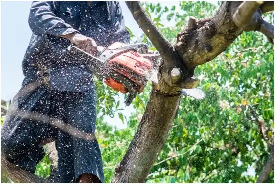 tree services Atoka